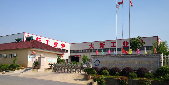 安徽大新工業(yè)爐有限公司